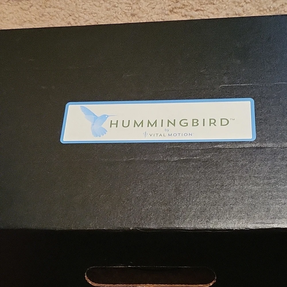 Hummingbird - Picture 1 of 6